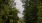 Suncoast Trail