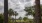 Plantation Palms