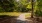 Arbors Trail